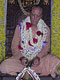 Vyasa Puja Swami BG Narasingha
