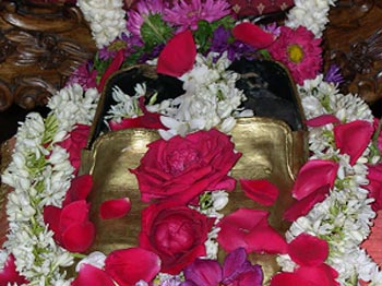Prabhupada's Shoes