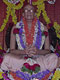 AC Bhaktivedanta Swami Prabhupada