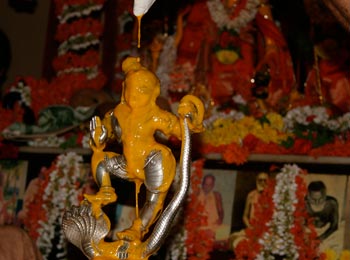 Kaliya Krishna Abhiseka 5