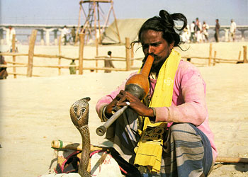 Snake charmer at Kumbha Mela