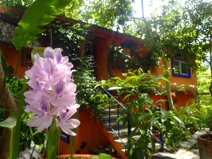 Jardines Govinda Ashram