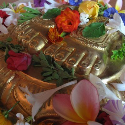 Janmastami 2009, Govindaji Gardens