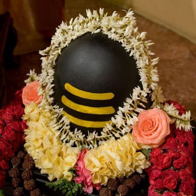 Janmastami 2009, Govindaji Gardens