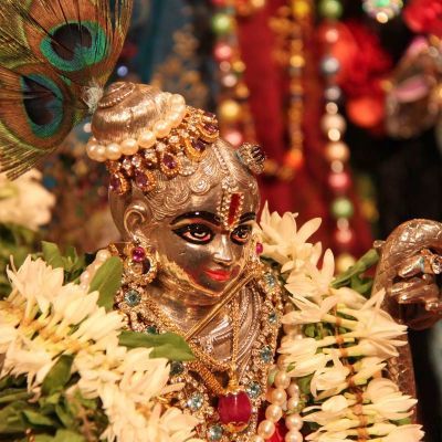 Janmastami 2009, Govindaji Gardens