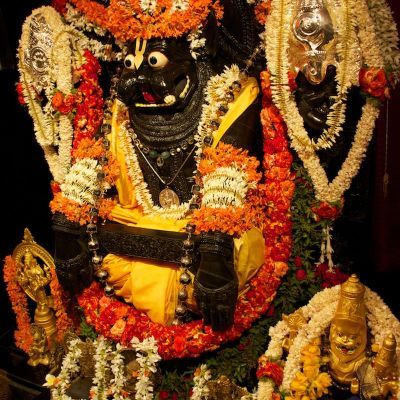 Narasingha Caturdasi, 2010