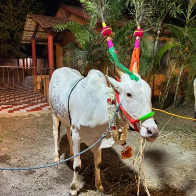 Sri Krishna Janmashtami 2026