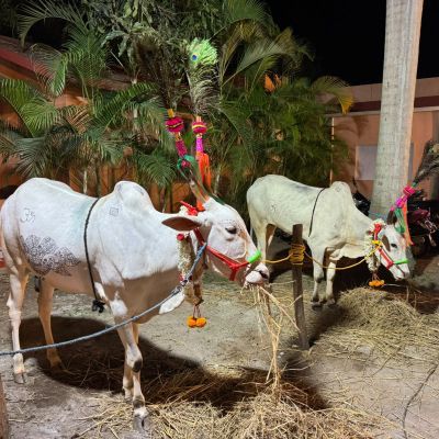 Sri Krishna Janmashtami 2026