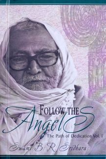 Follow the Angels book cover