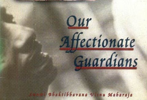 Our Affectionate Guardians book cover