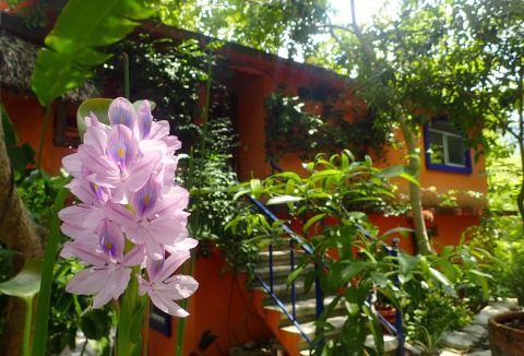 Jardines Govinda Ashram
