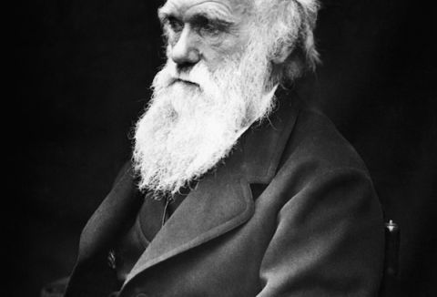 Charles Darwin
