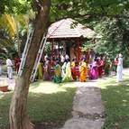 Janmastami 2009, Govindaji Gardens