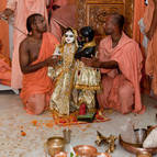 Pujaris with Radha-Madana-mohana