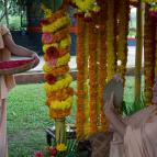 Swami Narasingha's Appearance Day 2015 - Photo 