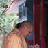 Radhastami and Vyasa Puja of Swami Narasingha - Photo 919